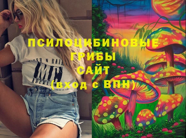 твердый Медвежьегорск