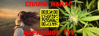 эйфоретик Гай