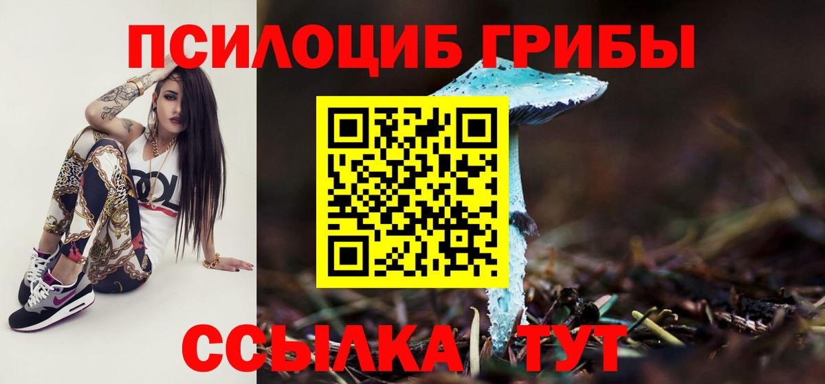 Псилоцибиновые грибы мицелий  Вход с VPN  Екатеринбург 
